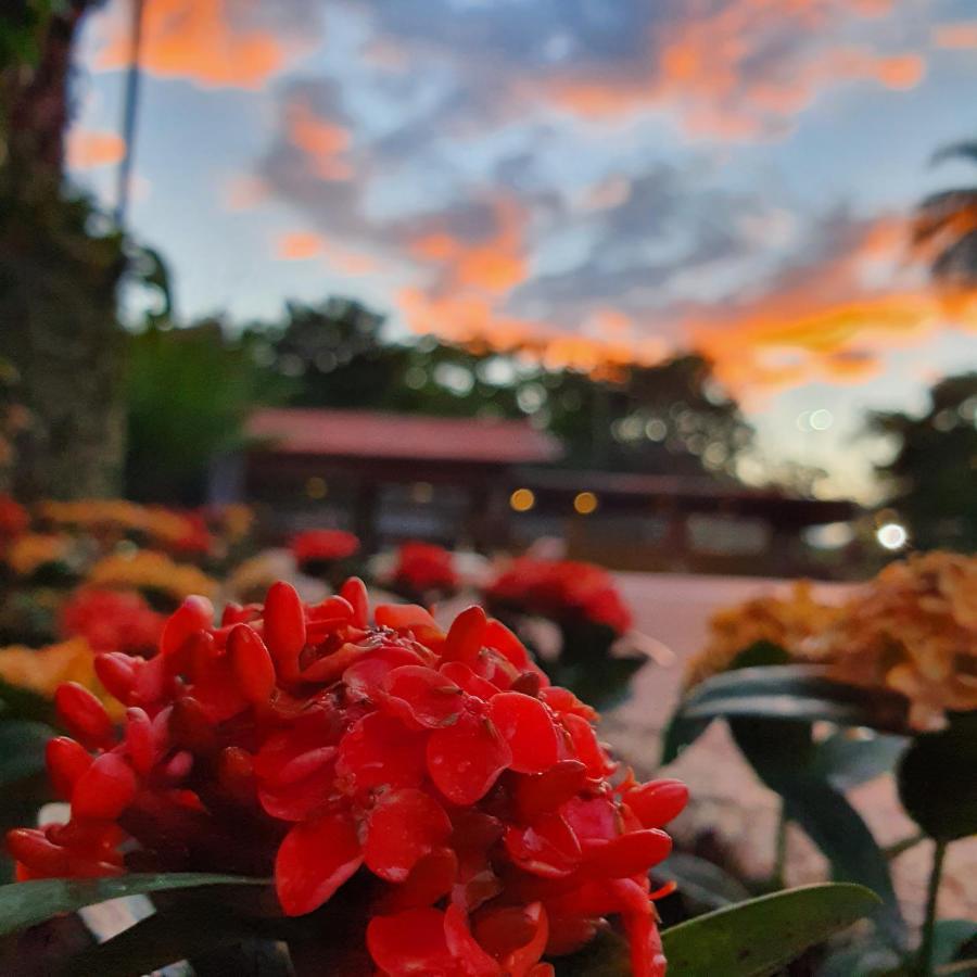 Panorama Park Hotel Igaracu do Tiete エクステリア 写真